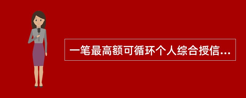 一笔最高额可循环个人综合授信贷款，贷款额度为300万元，合同有效期为2007年1