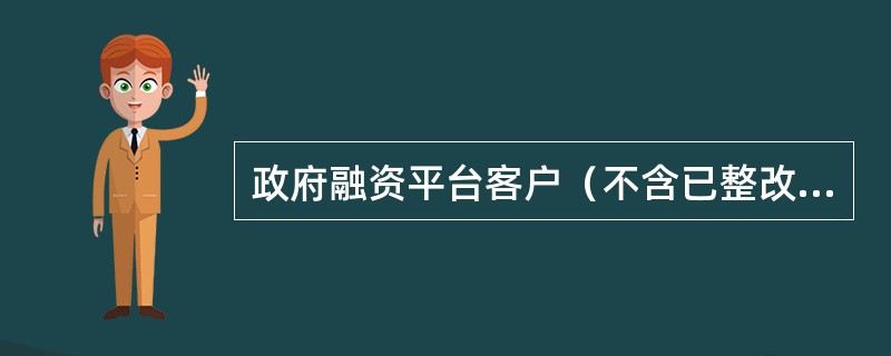 政府融资平台客户（不含已整改为公司类客户的平台）单笔贷款审批权在（）。