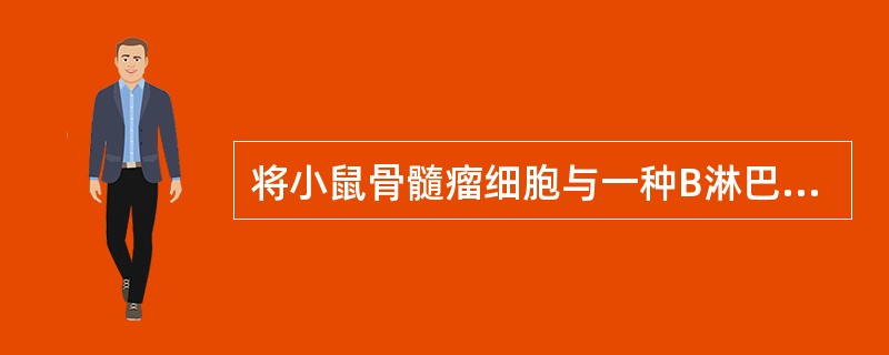 将小鼠骨髓瘤细胞与一种B淋巴细胞融合，可使融合的细胞经培养产生单克隆抗体，其依据