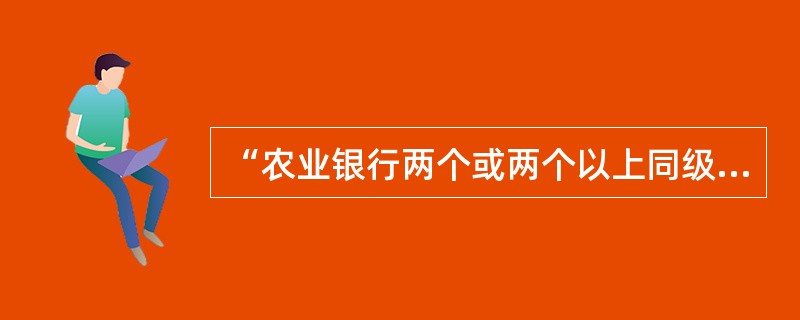 “农业银行两个或两个以上同级行，依据同一贷款协议，按约定时间和比例，向借款人提供