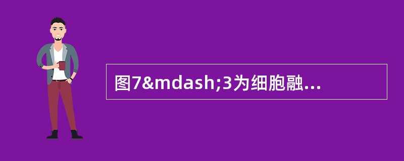 图7—3为细胞融合技术的一些过程：（1）从A和B细胞到C细胞的过程中