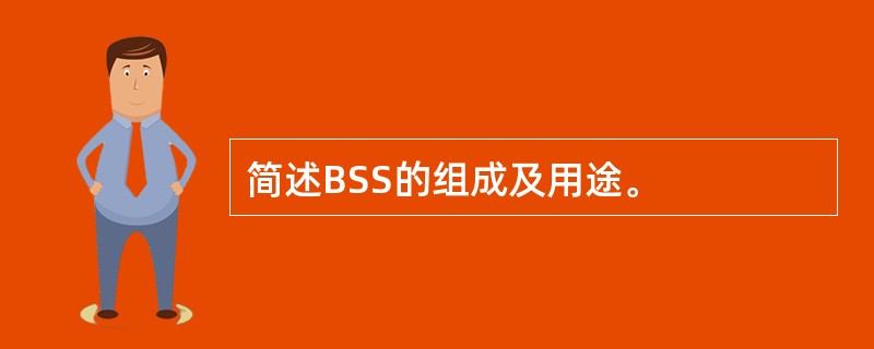 简述BSS的组成及用途。