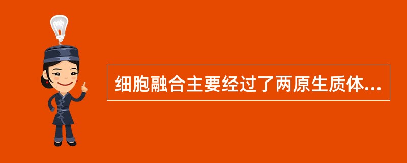 细胞融合主要经过了两原生质体或细胞互相靠近、细胞桥形成、胞质渗透、（）几个步骤。