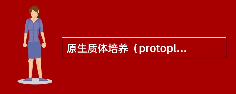 原生质体培养（protoplast culture）