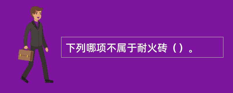 下列哪项不属于耐火砖（）。