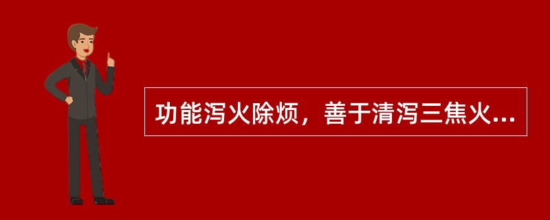 功能泻火除烦，善于清泻三焦火邪的药物是（）