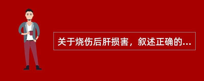 关于烧伤后肝损害，叙述正确的是（）