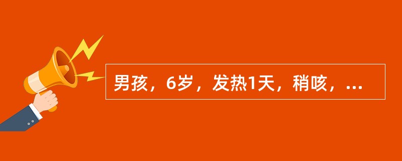 男孩，6岁，发热1天，稍咳，家长给予口服复方磺胺甲噁唑，次日体温不退，头痛，咽部