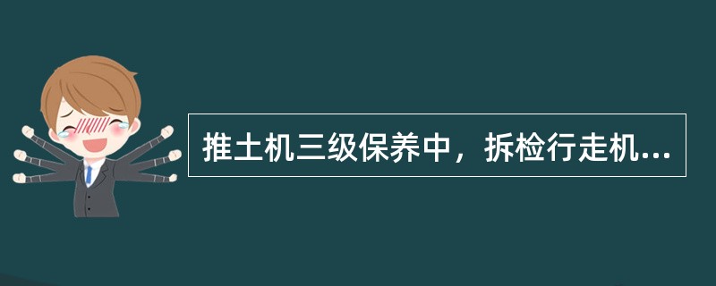 推土机三级保养中，拆检行走机构包括（）