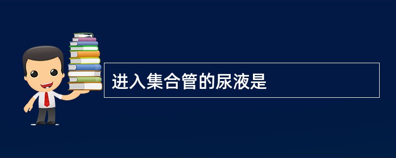 进入集合管的尿液是