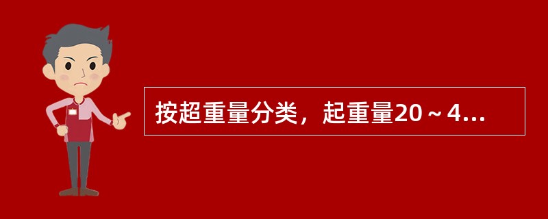 按超重量分类，起重量20～40T的塔式起重机属于（）