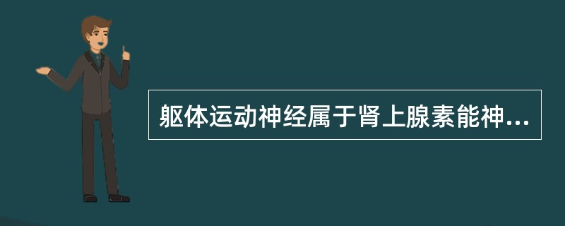 躯体运动神经属于肾上腺素能神经。