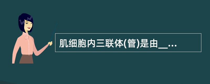 肌细胞内三联体(管)是由____和其两侧的____组成。