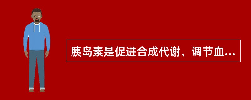 胰岛素是促进合成代谢、调节血糖浓度的主要激素。