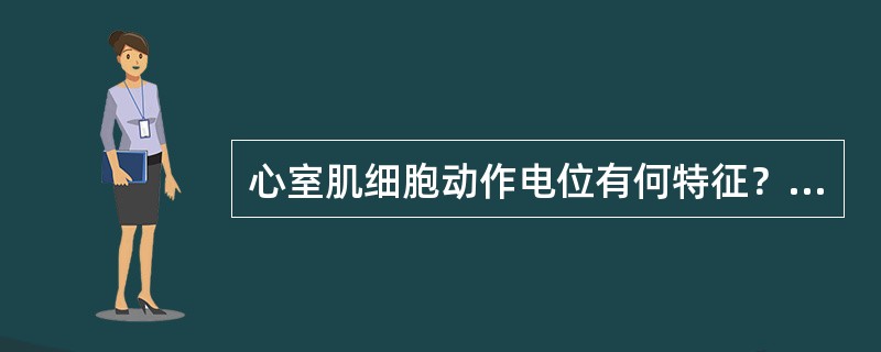 心室肌细胞动作电位有何特征？各期的例子基础？