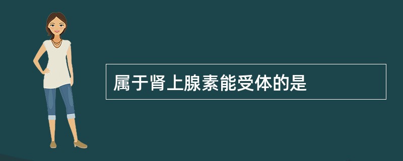 属于肾上腺素能受体的是