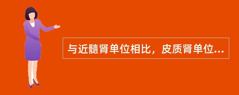 与近髓肾单位相比，皮质肾单位的特点是