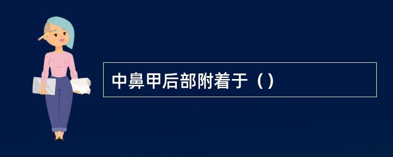 中鼻甲后部附着于（）