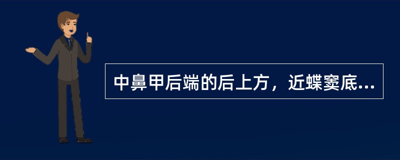 中鼻甲后端的后上方，近蝶窦底处的鼻腔外侧壁上有一骨孔称为（）