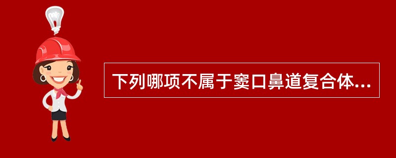 下列哪项不属于窦口鼻道复合体的结构（）