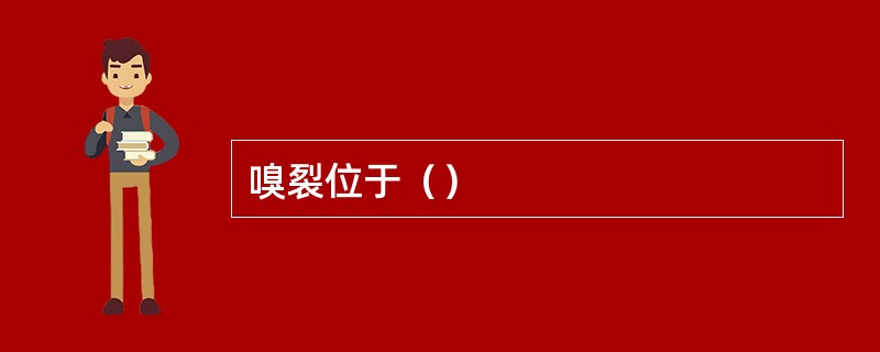 嗅裂位于（）