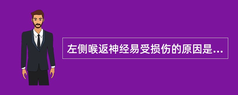 左侧喉返神经易受损伤的原因是（）