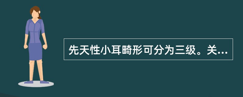 先天性小耳畸形可分为三级。关于第3级的表现，正确的是（）