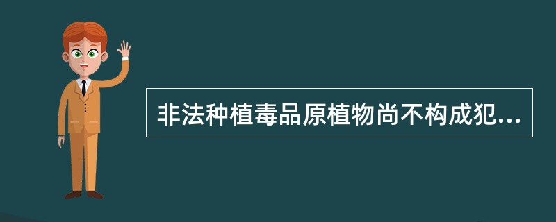 非法种植毒品原植物尚不构成犯罪的，依法给予治安管理处罚。