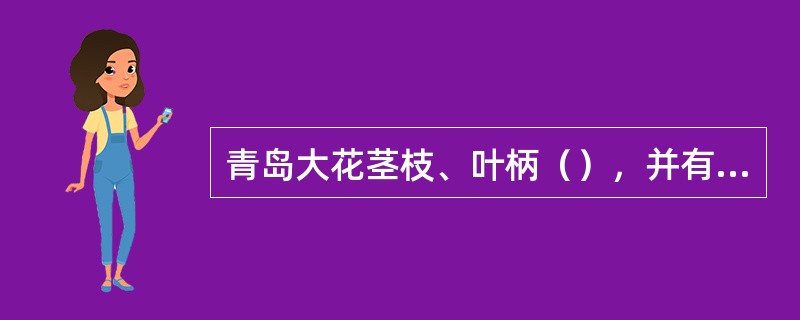青岛大花茎枝、叶柄（），并有倒刺，上面密生小刺毛，下面疏生毛和黄色小油点，叶柄长