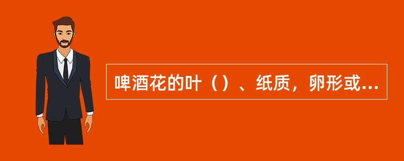 啤酒花的叶（）、纸质，卵形或掌形，3～5裂，边缘具粗锯齿。