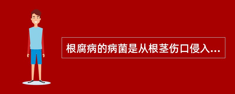 根腐病的病菌是从根茎伤口侵入，发病部位初期是淡黄色凸起，逐渐扩大，表面有粗糙而不