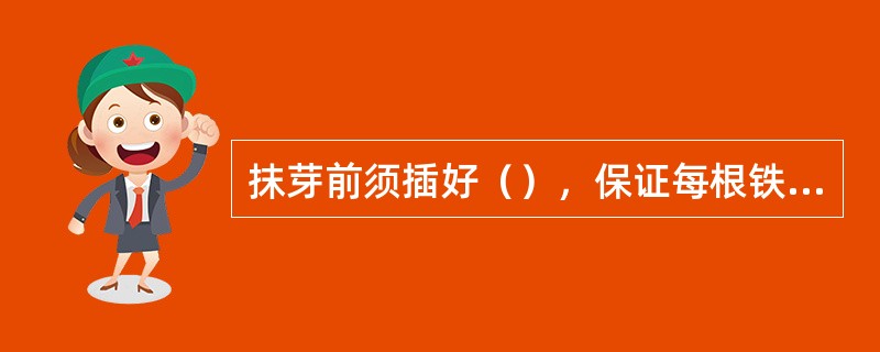 抹芽前须插好（），保证每根铁丝有主蔓，根据主蔓的强弱和土地状况定稀密。