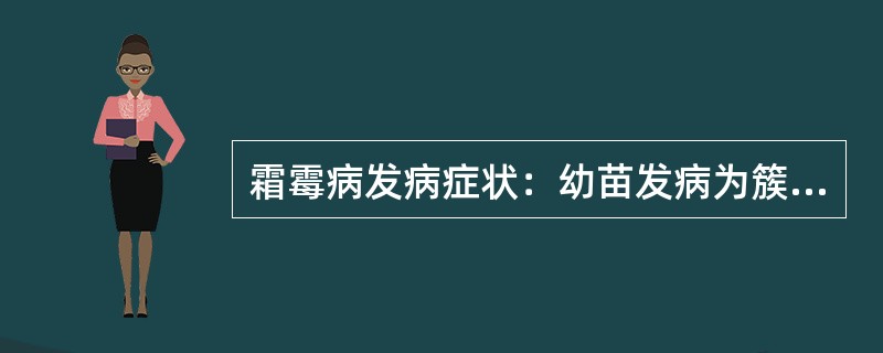 霜霉病发病症状：幼苗发病为簇生，缩节，黄化，（）叶缘干枯，