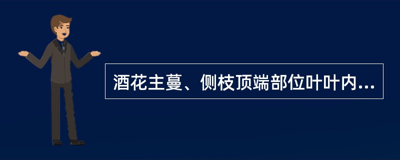 酒花主蔓、侧枝顶端部位叶叶内的小芽分化后发育成花枝，在花枝顶端形成花蕾、现蕾、开