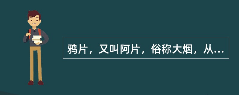 鸦片，又叫阿片，俗称大烟，从（）中提炼。