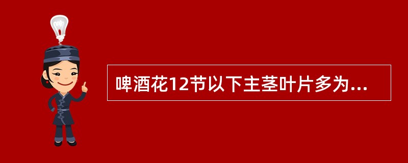 啤酒花12节以下主茎叶片多为5裂的缺刻状，12节以上及侧枝呈3列的缺刻状，主茎及