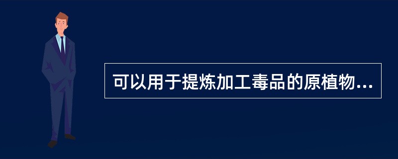 可以用于提炼加工毒品的原植物不包括以下哪项（）