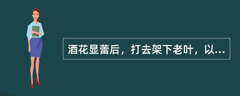 酒花显蕾后，打去架下老叶，以促进花体营养供给。