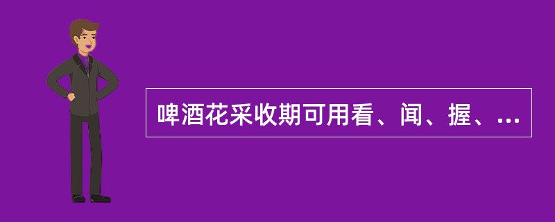 啤酒花采收期可用看、闻、握、捻的方法来鉴定。花穗淡绿色、苞片紧凑、腺体分泌物多，