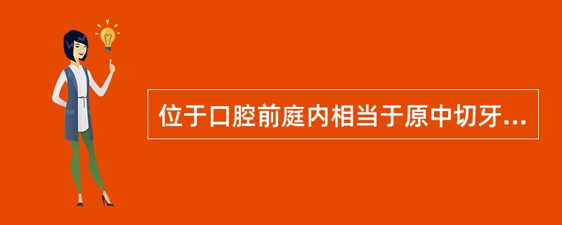 位于口腔前庭内相当于原中切牙近中交界线的延长线上是（）。