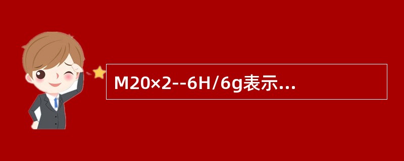 M20×2--6H/6g表示两螺纹配合，其中20为（），2为（），6H表示（），
