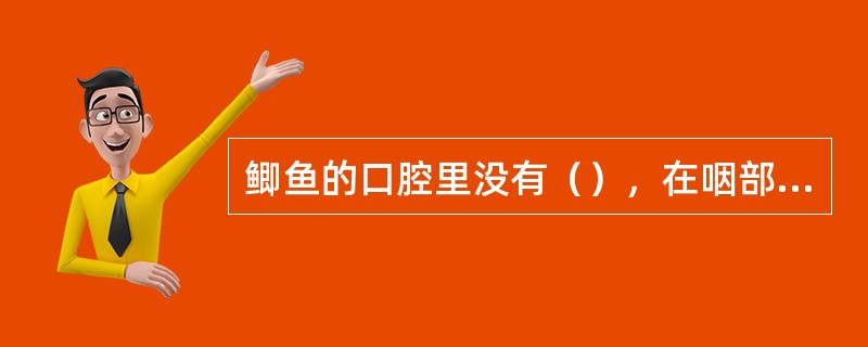 鲫鱼的口腔里没有（），在咽部有（），食物在此压碎，经（）到（）。