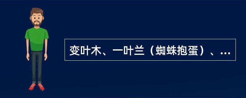 变叶木、一叶兰（蜘蛛抱蛋）、龙血树、鹅掌柴，其中（）对光强度的要求最高。