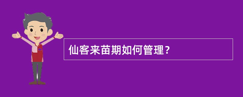 仙客来苗期如何管理？