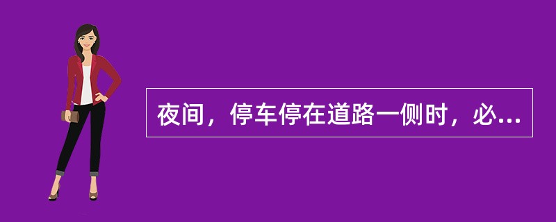 夜间，停车停在道路一侧时，必须开（）。