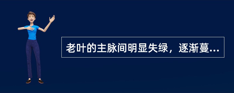 老叶的主脉间明显失绿，逐渐蔓延至上部新叶，叶脉仍为绿色，叶脉间出现色斑是缺Mg的