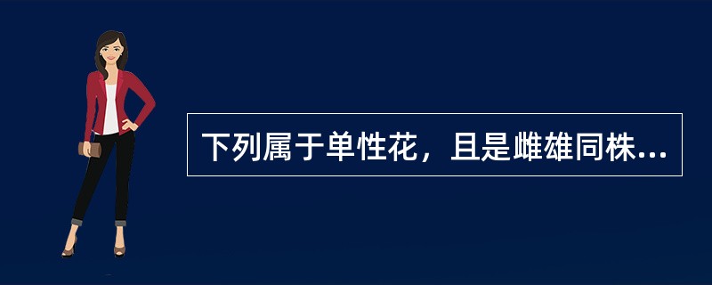 下列属于单性花，且是雌雄同株的植物是（）。