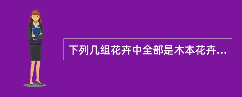 下列几组花卉中全部是木本花卉的是（）。