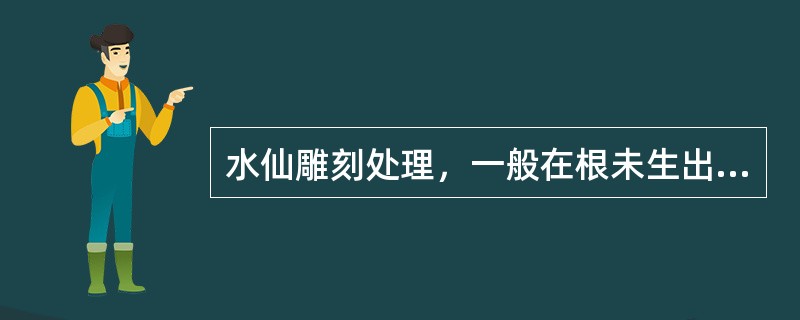 水仙雕刻处理，一般在根未生出，开花前（）天雕刻。