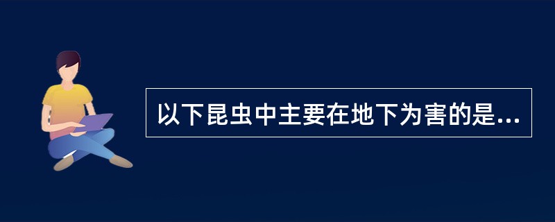 以下昆虫中主要在地下为害的是（）。